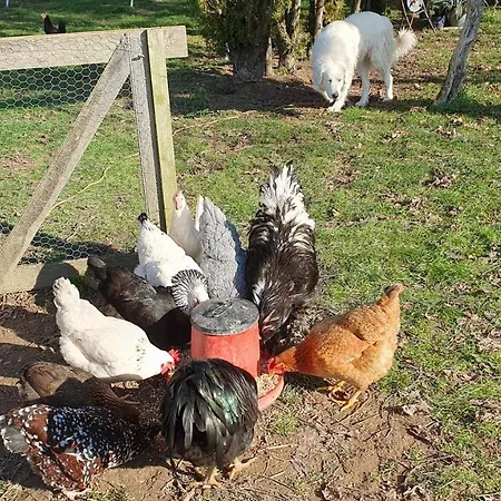 Castandel Le Casa vacanze *