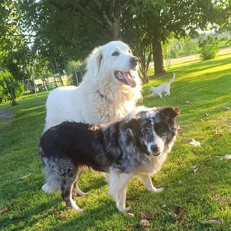 Сasa de vacaciones Castandel Le *