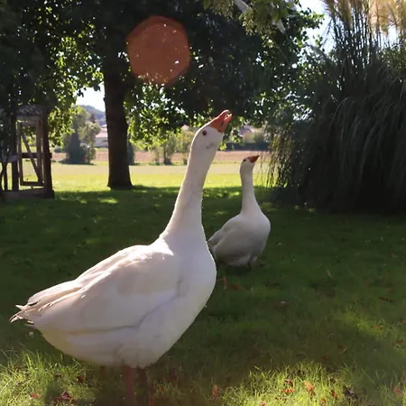 Castandel Le Fréjairolles