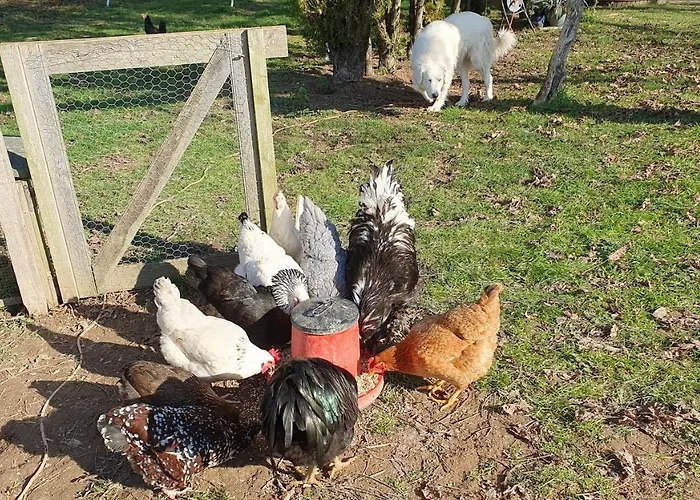 Castandel Le Casa vacanze *