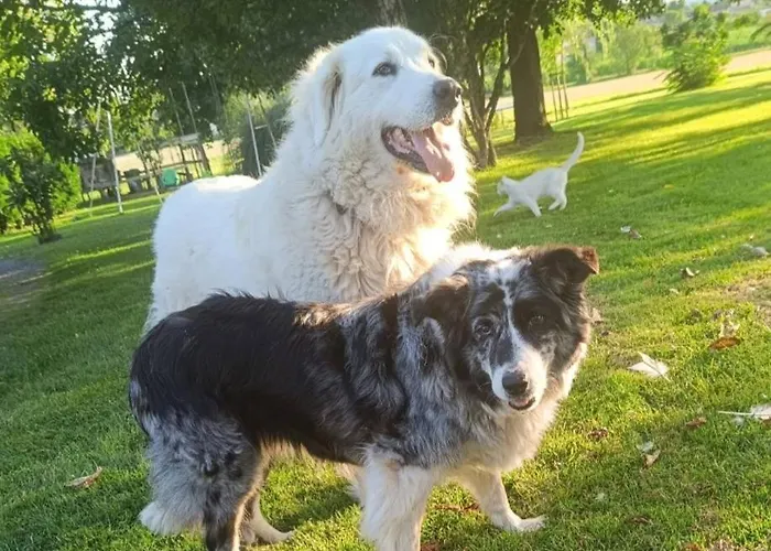 Casa vacanze Castandel Le *