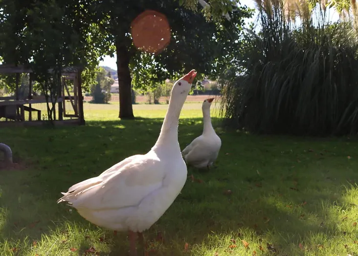 Castandel Le Fréjairolles